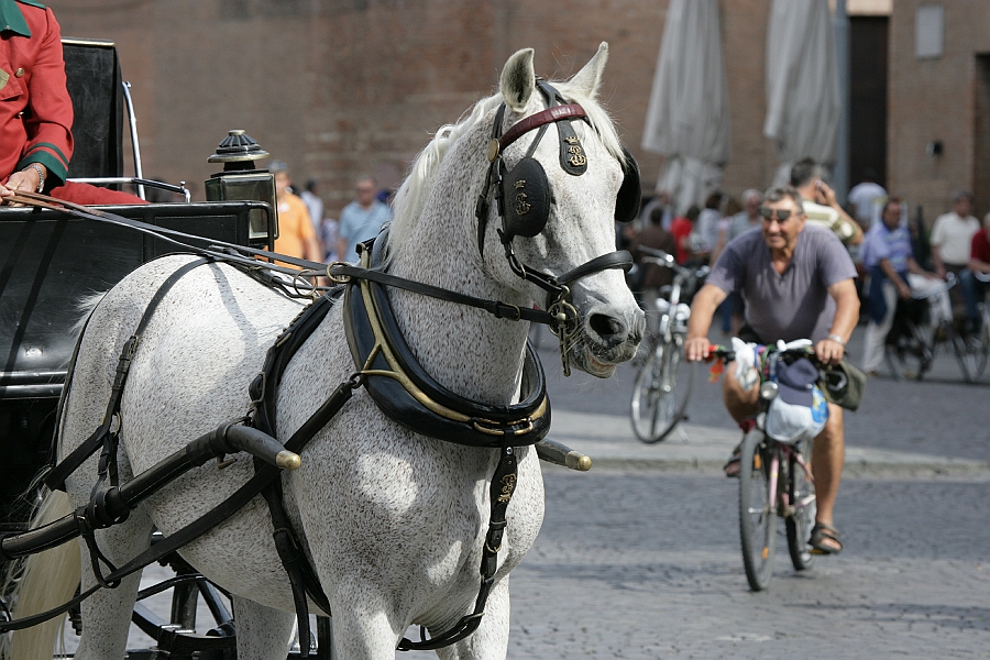 Img 071.jpg